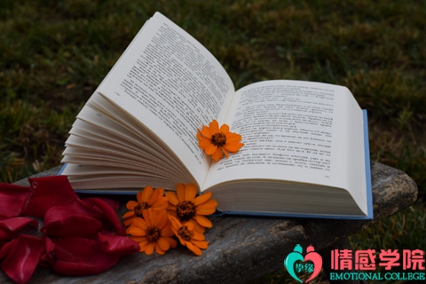 挽回妻子的正确办法，有哪些方法可以成功挽回妻子?