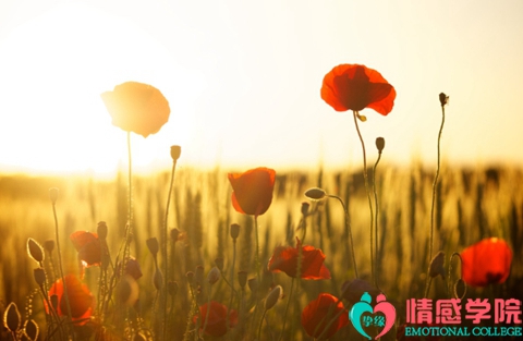 怎样挽回婚姻感情的方法?这几个方法很有用