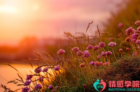 怎样挽回婚姻感情的方法?这几个方法很有用