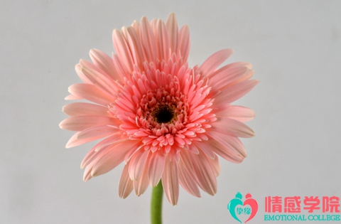 老公出轨变心了怎么挽回?成功挽回只需要这两个方法