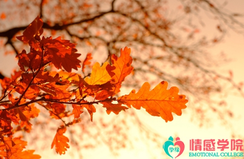挽回夫妻感情的方法，正确的三个挽回方法
