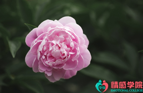 怎么样挽回婚姻不离婚?这三个细节不能忽略