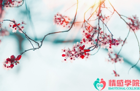 分手后怎么挽回双鱼男?挽回双鱼男有哪些方法