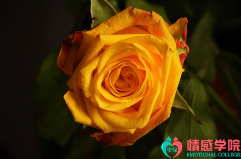 婚外遇到真爱怎么办?不妨选择这样做