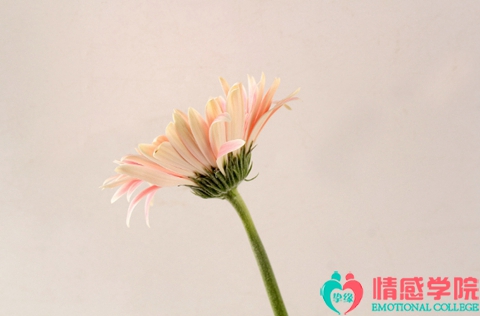 两地分居怎么知道老婆有外遇?教你几招辨别真心