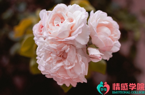 挽留前任女友的攻略?这三步让女朋友主动找你复合