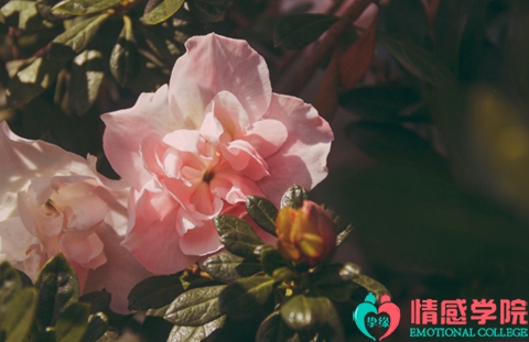 情侣分手了怎么挽回?挽回感情三个技巧