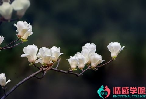 挽回爱情的正确方法?挽回爱情只需这三步